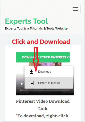 Pinterest Video Downloader Download Pinterest Videos Photos Gif S Online Experts Tool